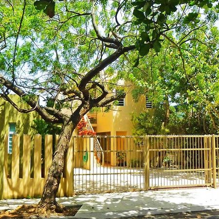 Serena Baja سان خوان المظهر الخارجي الصورة